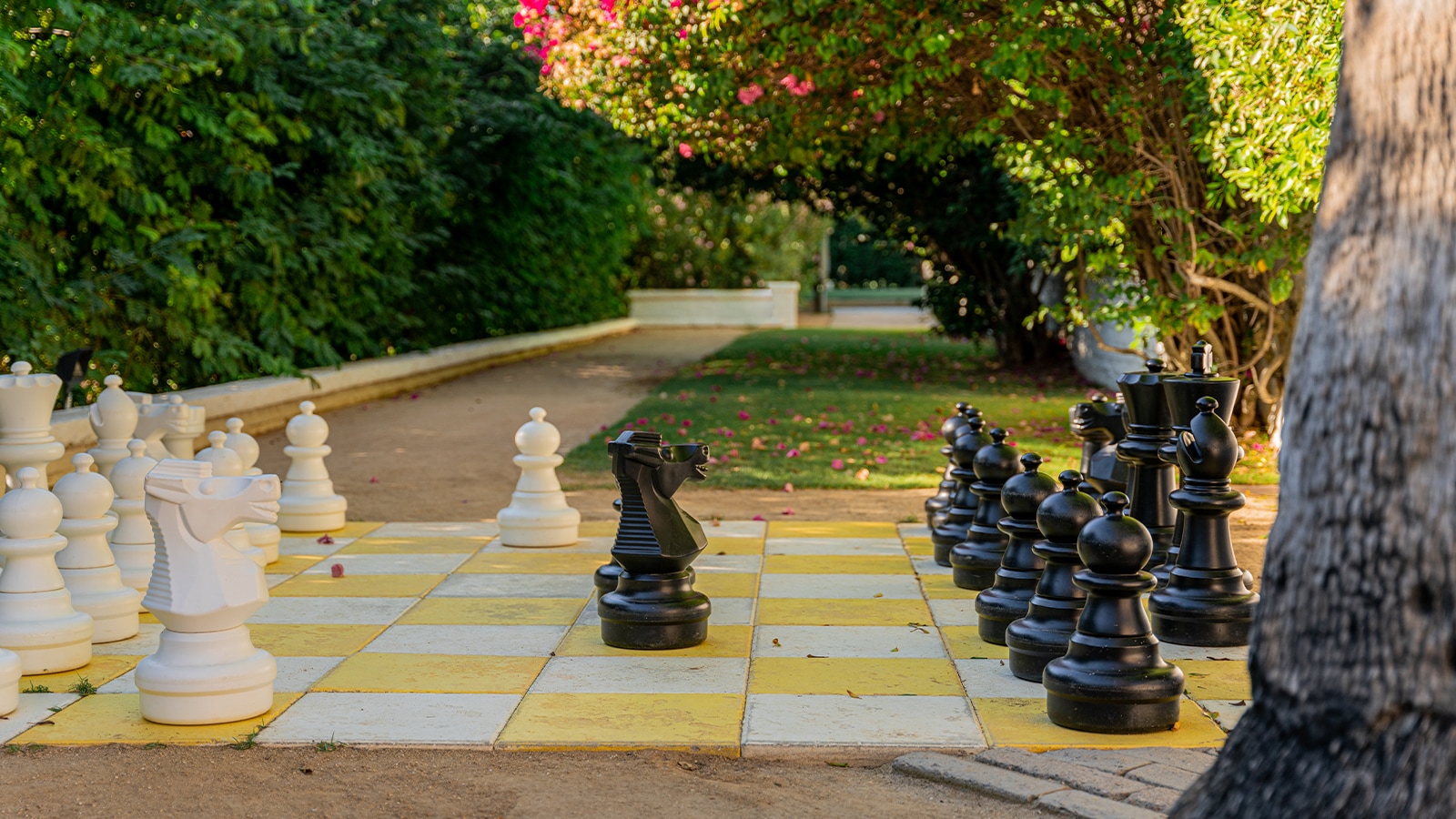 Giant Chess