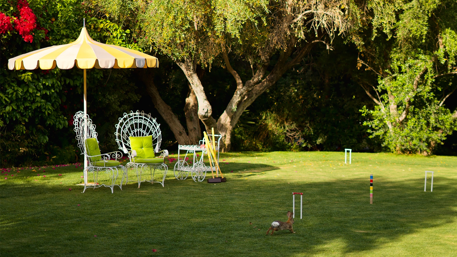 Croquet