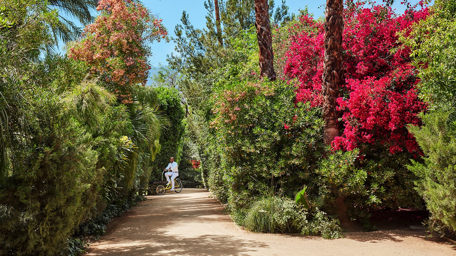 Grounds with Man on Bicycle