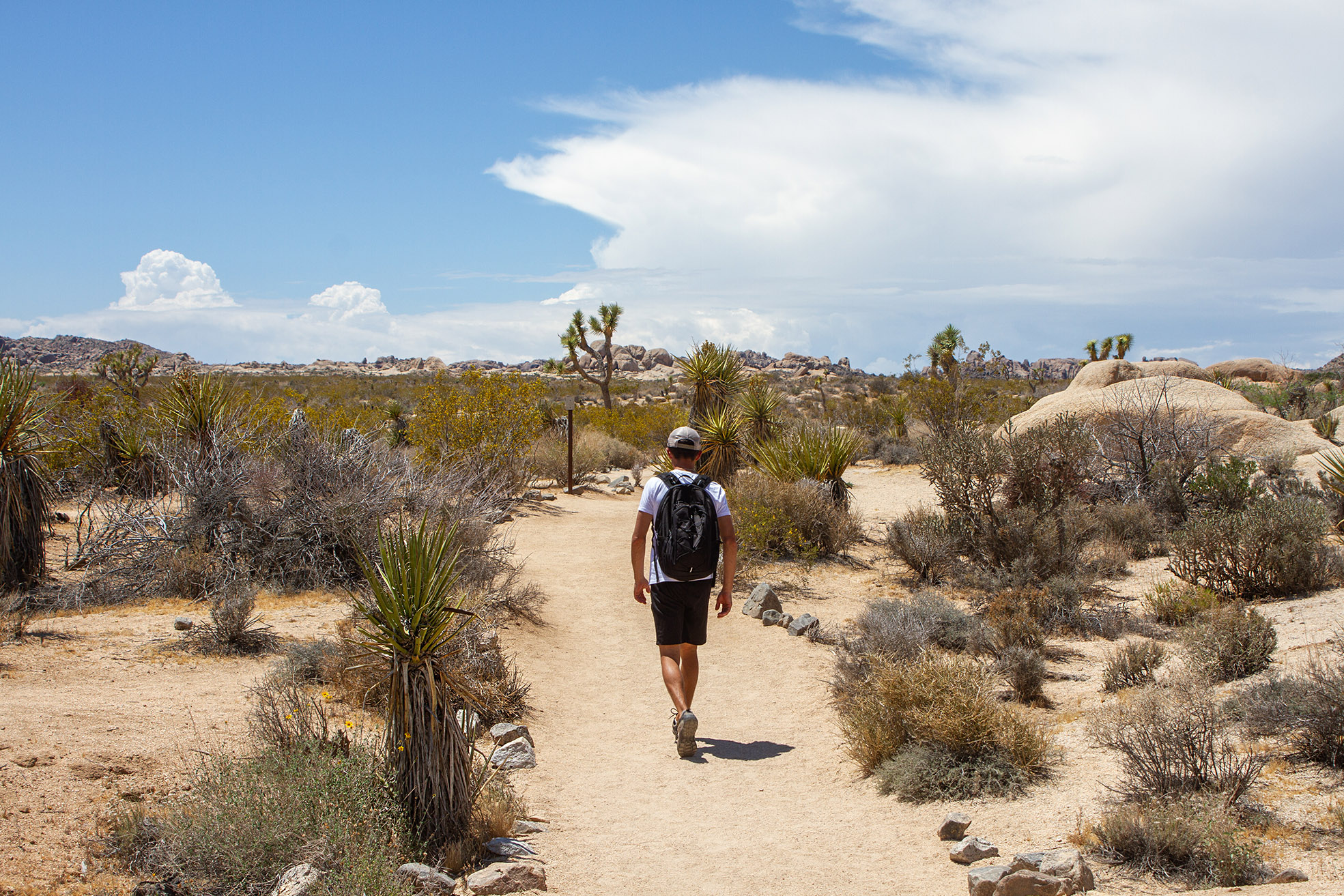 man walking on trail in joshua tree during daytime