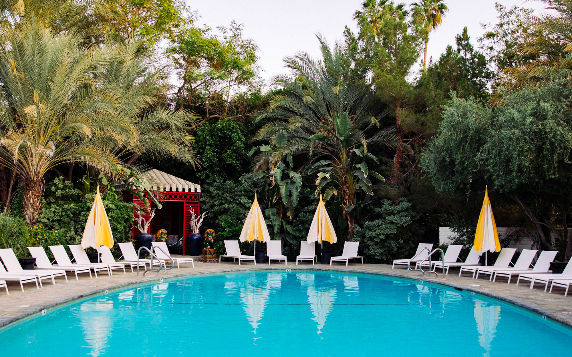 oval shaped pool with lounge chairs, yellow umbrellas, and multiple trees